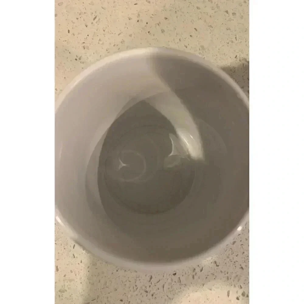 walt disney world mickey‎ mug